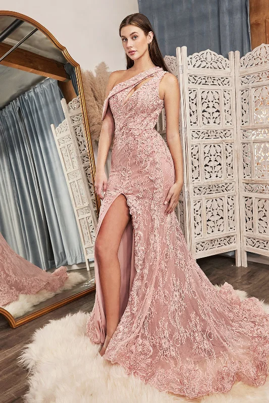 Cinderella Divine  CD973 Dress